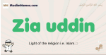 Zia-uddin muslim boys name and meaning, islamic boys name Zia-uddin