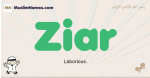 Ziar muslim boys name and meaning, islamic boys name Ziar