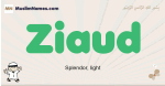 Ziaud muslim boys name and meaning, islamic boys name Ziaud