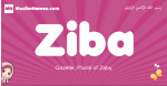 Ziba arabic girls name and meaning, muslim girl name Ziba