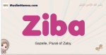 Ziba muslim girls name and meaning, islamic girls name Ziba