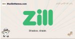 Zill muslim boys name and meaning, islamic boys name Zill