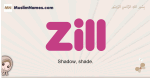 Zill muslim girls name and meaning, islamic girls name Zill