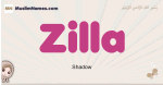 Zilla muslim girls name and meaning, islamic girls name Zilla