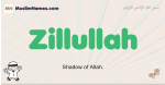 Zillullah muslim boys name and meaning, islamic boys name Zillullah