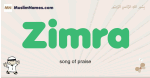 Zimra muslim boys name and meaning, islamic boys name Zimra