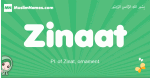 Zinaat arabic girl name and meaning, quranic girls name Zinaat