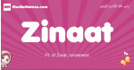 Zinaat arabic girls name and meaning, muslim girl name Zinaat