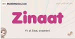 Zinaat muslim girls name and meaning, islamic girls name Zinaat