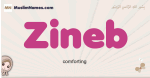 Zineb muslim girls name and meaning, islamic girls name Zineb