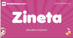 Zineta arabic girls name and meaning, muslim girl name Zineta