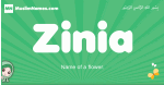 Zinia arabic girl name and meaning, quranic girls name Zinia