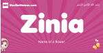 Zinia arabic girls name and meaning, muslim girl name Zinia