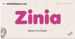 Zinia muslim girls name and meaning, islamic girls name Zinia
