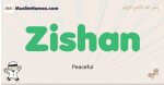Zishan muslim boys name and meaning, islamic boys name Zishan