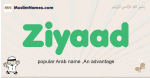 Ziyaad muslim boys name and meaning, islamic boys name Ziyaad