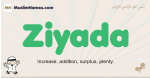 Ziyada muslim boys name and meaning, islamic boys name Ziyada