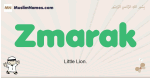 Zmarak muslim boys name and meaning, islamic boys name Zmarak
