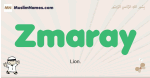 Zmaray muslim boys name and meaning, islamic boys name Zmaray