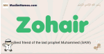 Zohair muslim boys name and meaning, islamic boys name Zohair