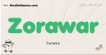 Zorawar muslim boys name and meaning, islamic boys name Zorawar