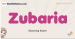 Zubaria muslim girls name and meaning, islamic girls name Zubaria