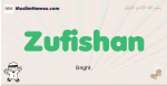 Zufishan muslim boys name and meaning, islamic boys name Zufishan