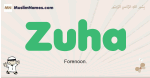Zuha muslim boys name and meaning, islamic boys name Zuha