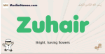 Zuhair muslim boys name and meaning, islamic boys name Zuhair