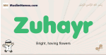 Zuhayr muslim boys name and meaning, islamic boys name Zuhayr