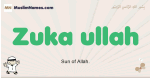 Zuka-ullah muslim boys name and meaning, islamic boys name Zuka-ullah
