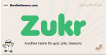 Zukr muslim boys name and meaning, islamic boys name Zukr
