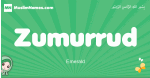 Zumurrud arabic girl name and meaning, quranic girls name Zumurrud