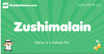 Zushimalain arabic boys name and meaning, quranic boys name Zushimalain