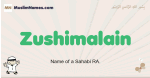 Zushimalain muslim boys name and meaning, islamic boys name Zushimalain