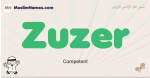 Zuzer muslim boys name and meaning, islamic boys name Zuzer