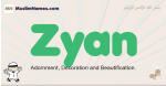 Zyan muslim boys name and meaning, islamic boys name Zyan
