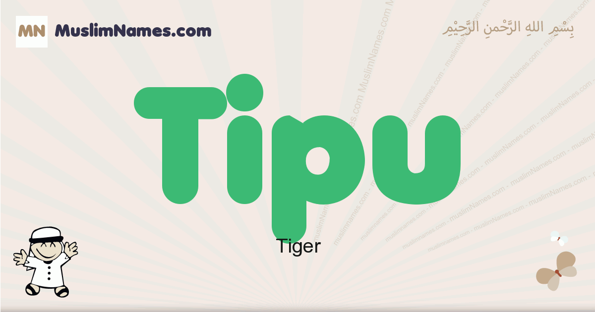 Tipu Meaning Of The Muslim Baby Name Tipu