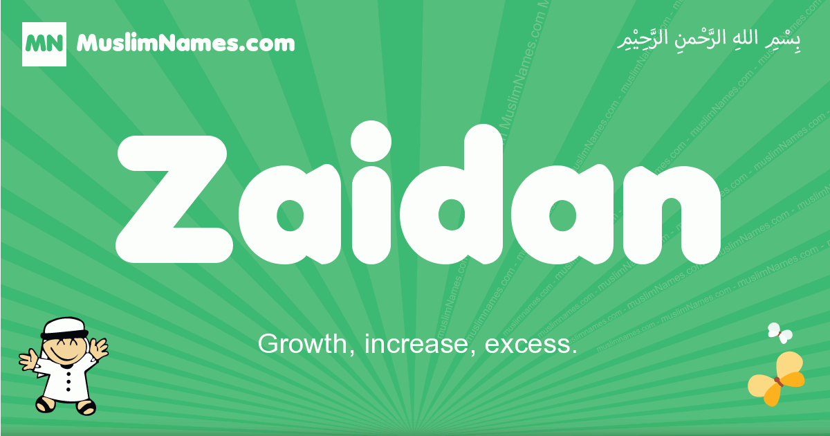 Zaidan Image