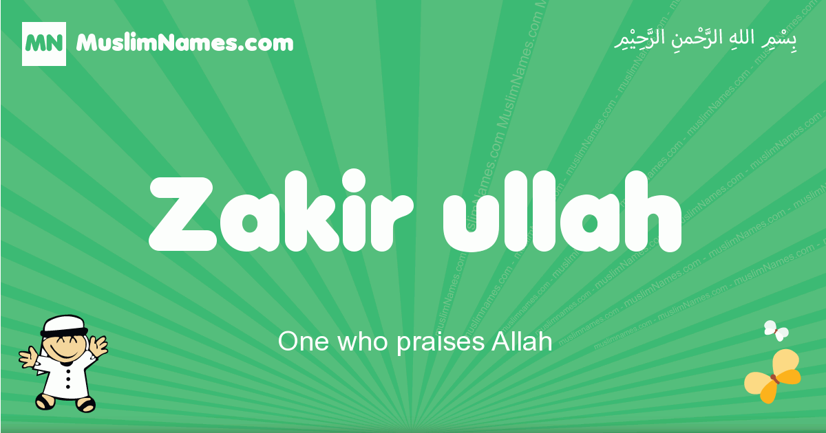 Zakir-ullah Image