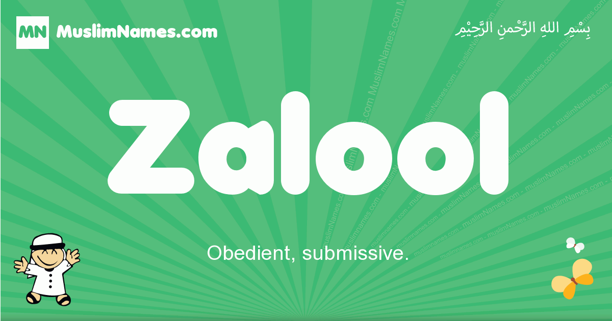Zalool Image