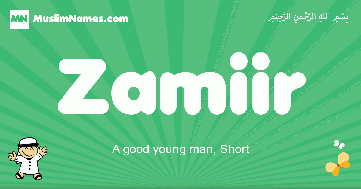 Zamiir Image