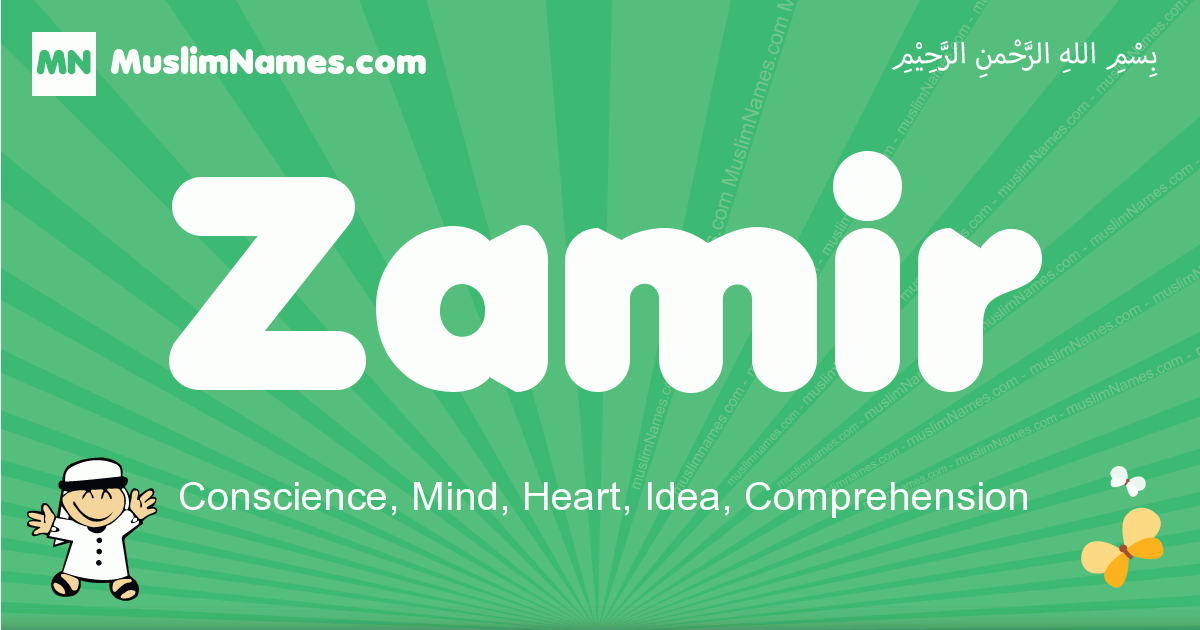 Zamir Image