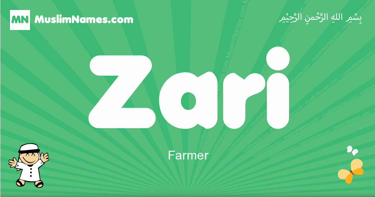 Zari Image
