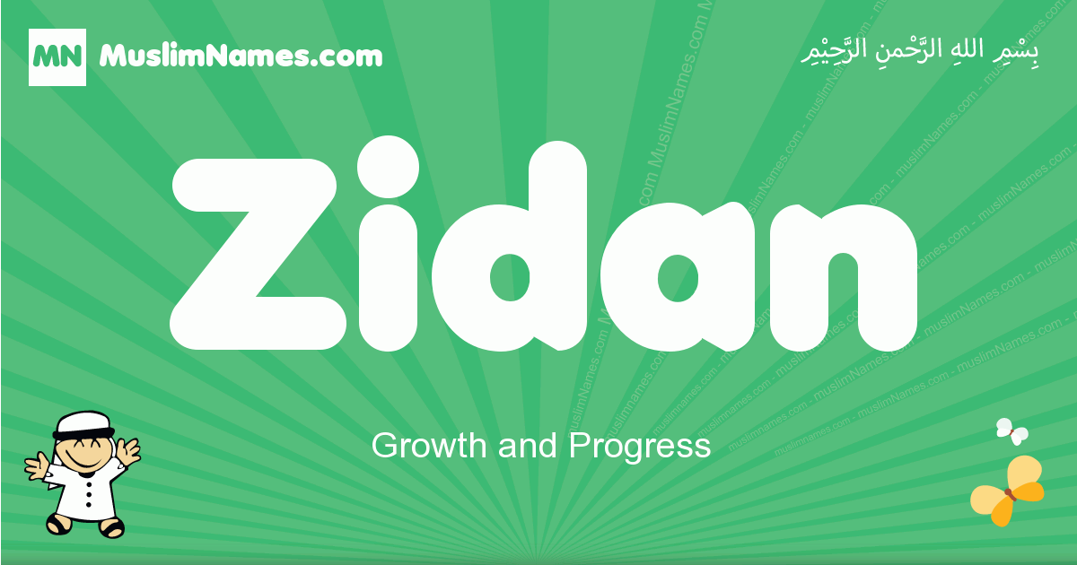 Zidan Image
