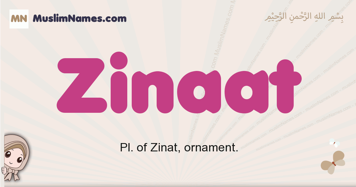 Zinaat Image
