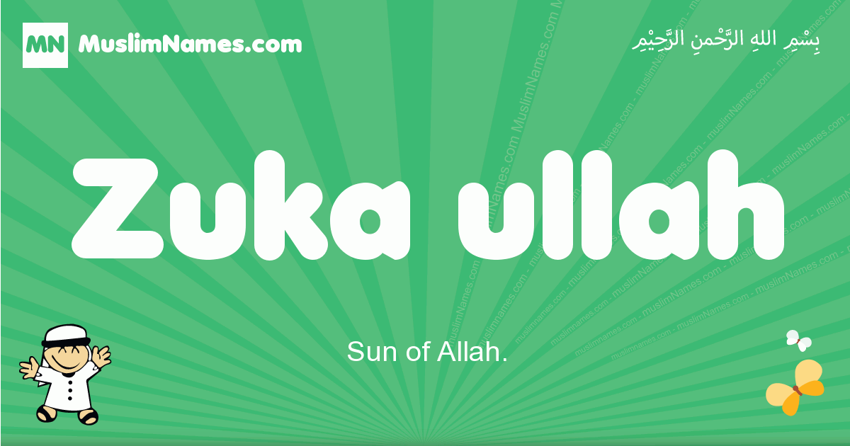 Zuka-ullah Image